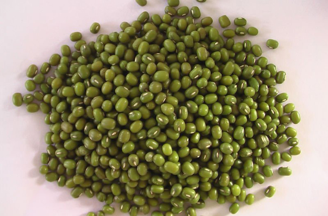 मूंग की आधुनिक विधि से खेती