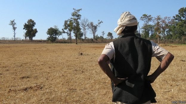 यह खेती कभी धोखा नहीं देती