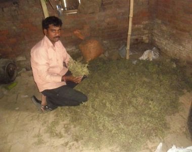 समग्र कृषि नीति की आवश्यकता