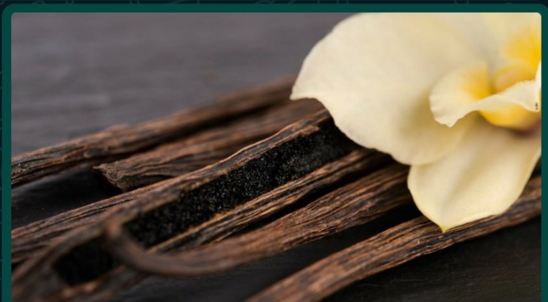 42 हजार रुपए प्रति किलो बिकती है यह फसल कर सकते हैं लाखों की कमाई