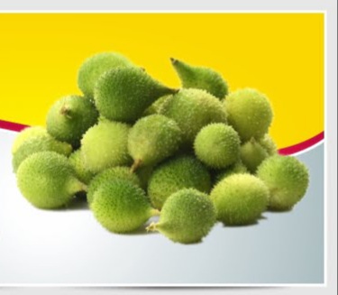 कैसे की जाती है कंटोला की खेती