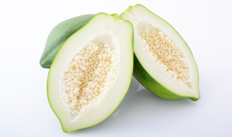 कौनसी है पपीते की उन्नत किसमे