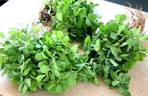 मेथी की बुवाई और रोगों से बचाव कैसे करें?