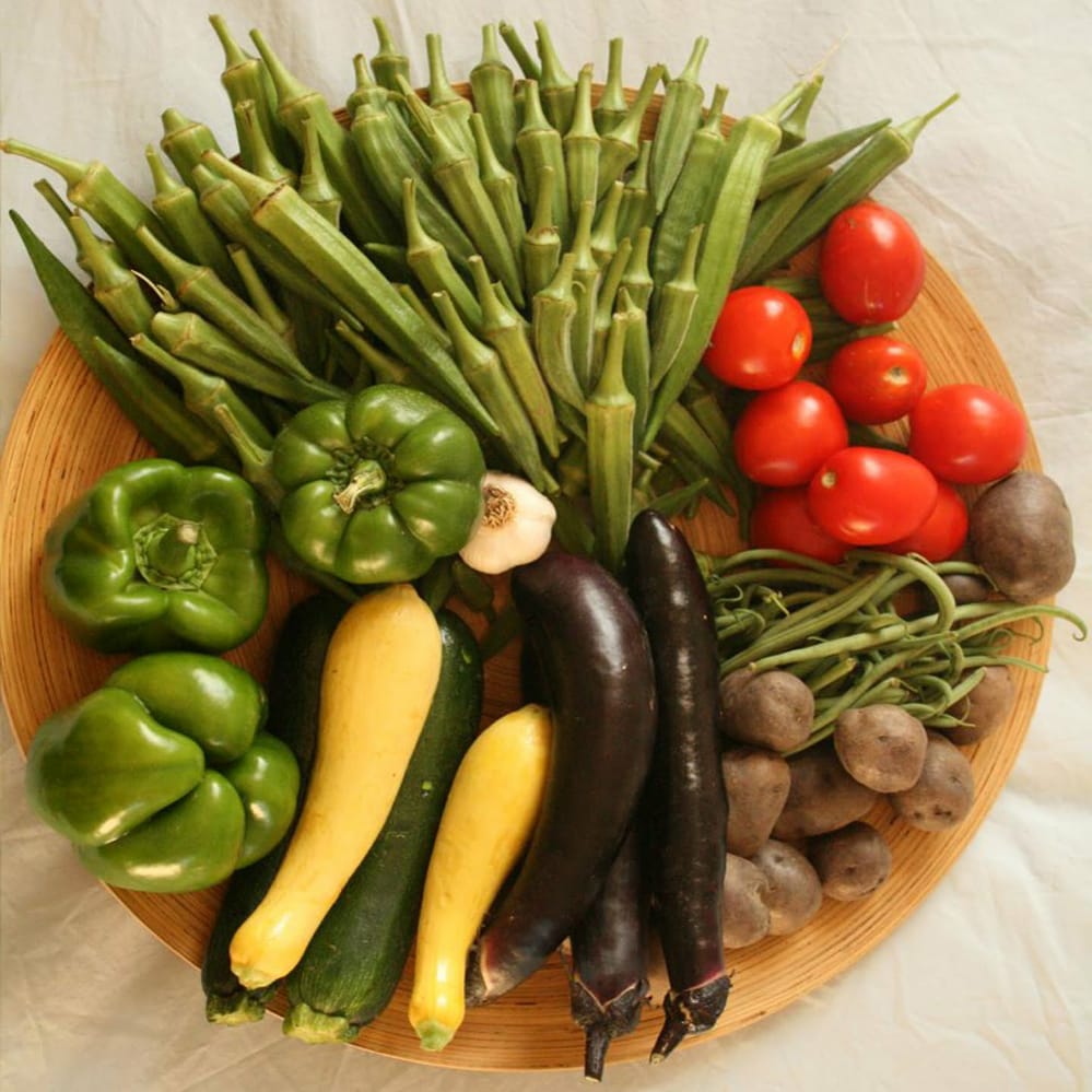 पढ़िए कैसे सब्जियों की खेती से मुनाफा कमा रहे हैं ये किसान