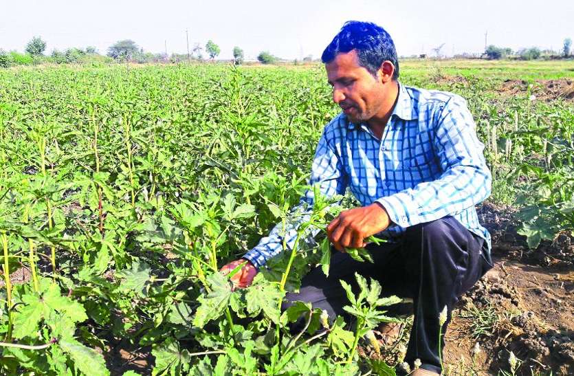 आधुनिक तरीके से करें सब्जियों की खेती