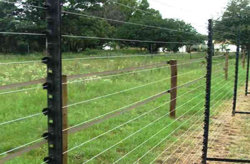 खेत में ‘सोलर फेंसिंग सिस्टम’ लगाकर फसलों को छुट्टा जानवरों से बचाइए