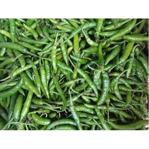 मिर्च की उर्वरीकरण संबंधी ज़रूरतें – मिर्च की खेती के लिए सामान्य उर्वरीकरण कार्यक्रम