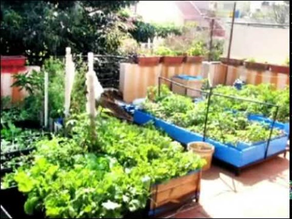 शीत ऋतु की स्वादिष्ट सब्जियां