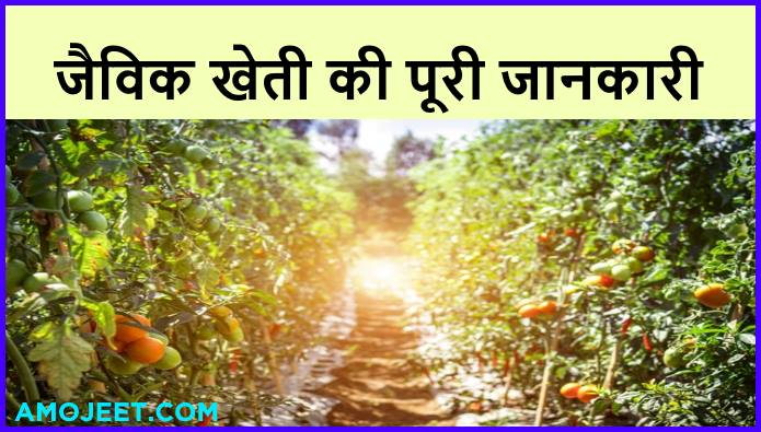 जैविक खेती क्या है? इसके फायदे What is Organic Farming