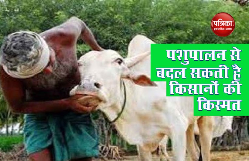 इन 7 कामों के जरिए किसान खेती से भी ज्यादा कर सकते हैं कमाई, सरकार से भी मिलेगी मदद