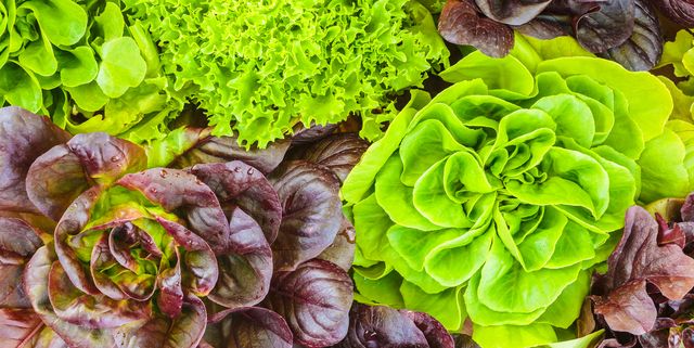 सलाद पत्ता खाने के 12 अद्भुत स्वास्थ्य लाभ